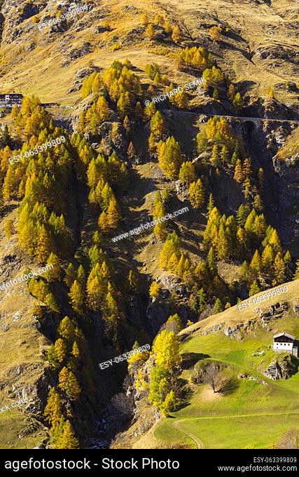 Texelgruppe nature park (Parco Naturale Gruppo di Tessa) near Timmelsjoch - high Alpine road, South Tyrol, Italy