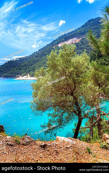 Summer vacation background with turquoise sea water bay and pine trees in greek island, Marble beach, Saliara, Thassos, Greece