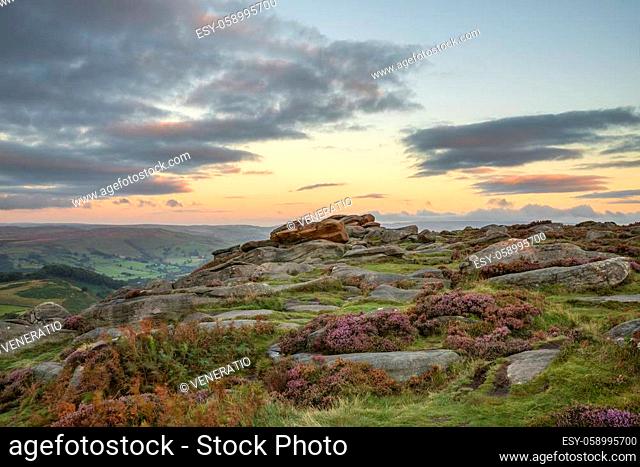 Stunning landscape view of late Summer heather in Peak District around Higger Tor at sunrise