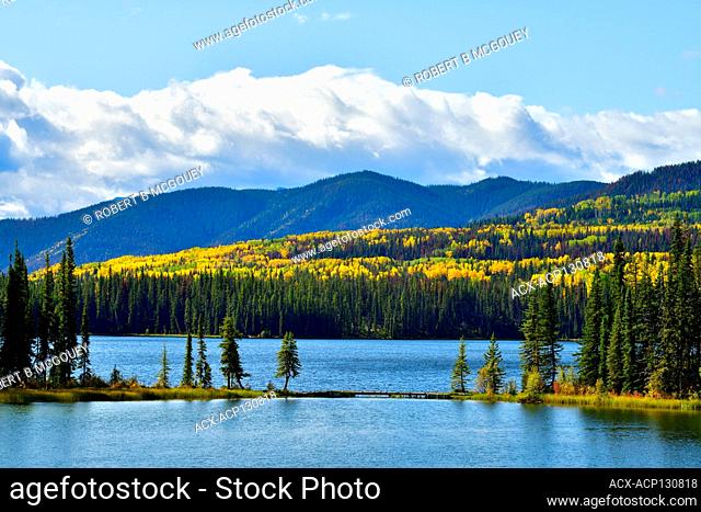 An autumn landscape image of fall colors along Jarvis Lake in William A Switzer Provincial Park near Hinton Alberta Canada