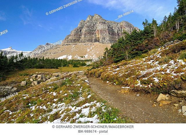 Hiking trail at Logan Pass, main attraction of the Glacier National Park, Montana, USA, North America