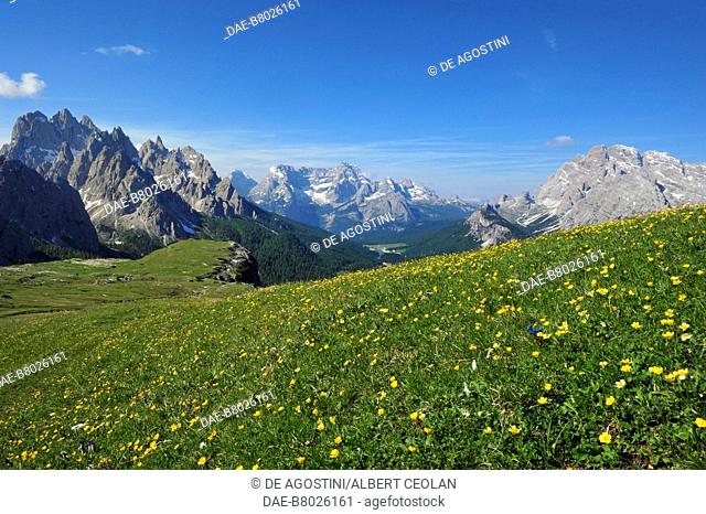 Alpine meadow towards Misurina, Upper Puster valley, Trentino-Alto Adige, Italy