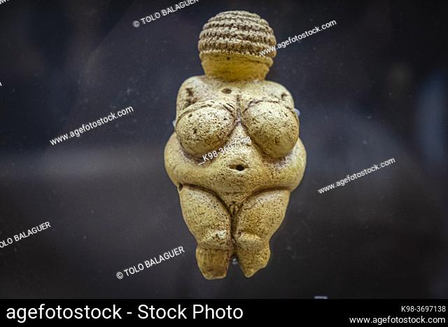 Venus of Willendorf, female limestone figurine, Gravetian Upper Paleolithic, Museo de la evolución humana, MEH, Burgos , Spain