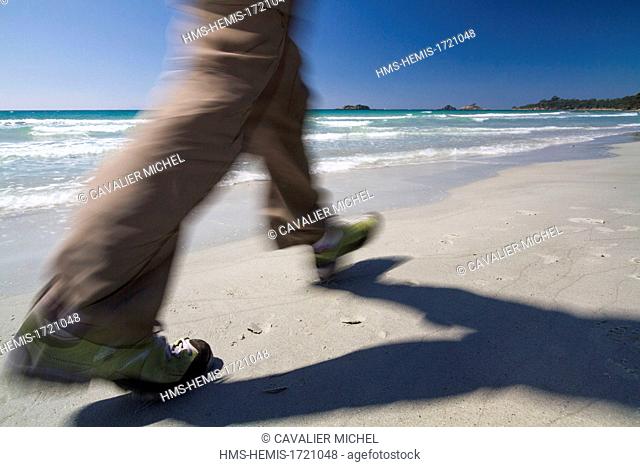 France, Var, Bormes les Mimosas, walker on the beach of the Grand Jardin