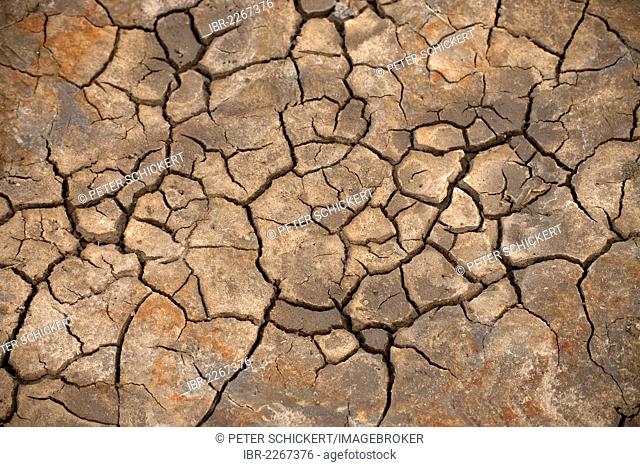 Cracks in the dry loamy soil, Westerhever, district of North Frisia, Schleswig-Holstein, Germany, Europe