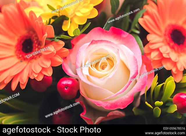 Close up of tender pink rose in a floral bouquet