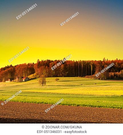 Swiss village surrounded by forests and plowed fields at sunset. Agriculture in Switzerland, arable land and pastures
