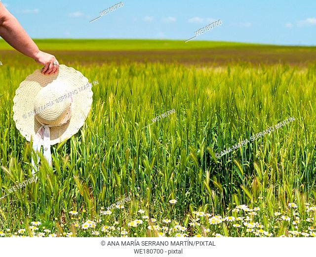 Unrecognizable with a straw hat in his hand in a farm field in spring barley person