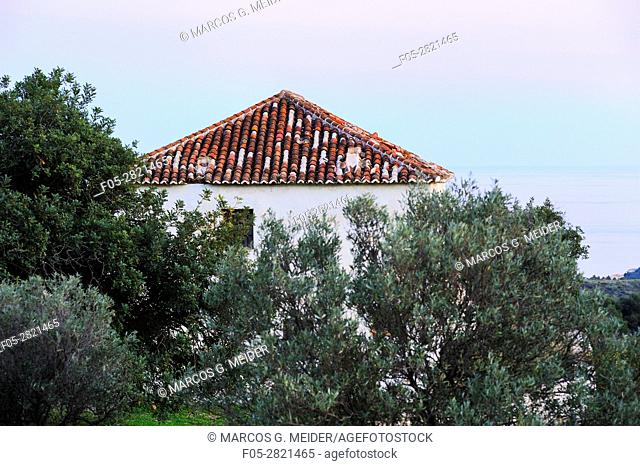 Old and abandoned cottage surrounded by olive and carob trees grove with the Mediterranean sea in the background. Andalucia, Spain