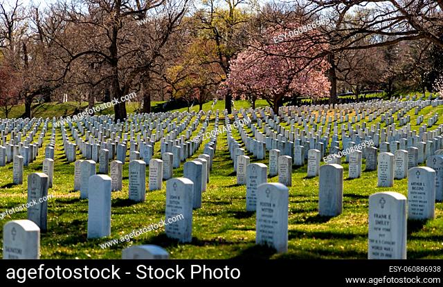 A picture of the Arlington National Cemetery