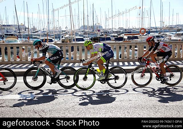 01 February 2020, Spain, Palma de Mallorca: The cyclists in the main peloton will ride past the harbour on the fourth and final day of the Mallorca Challenge
