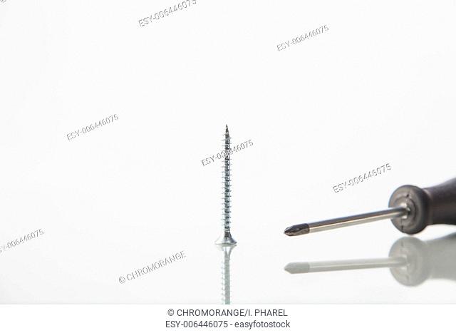 single screw with a screwdriver against white with reflection
