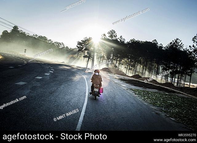 Rear view of motorbike driving along a highway through forests