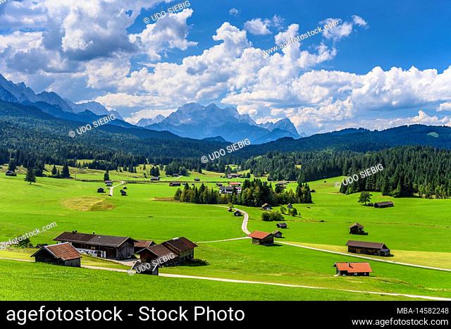 Germany, Bavaria, Werdenfelser Land, Mittenwald, hummock meadows against Zugspitzmassiv near Goas-Alm