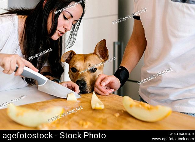Woman slicing fruit on cutting board near dog and man in kitchen