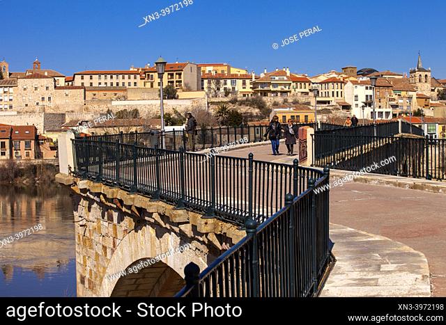 Stone bridge, Duero river Zamora city, Zamora Provience, Castile and Leon, Spain, Europe