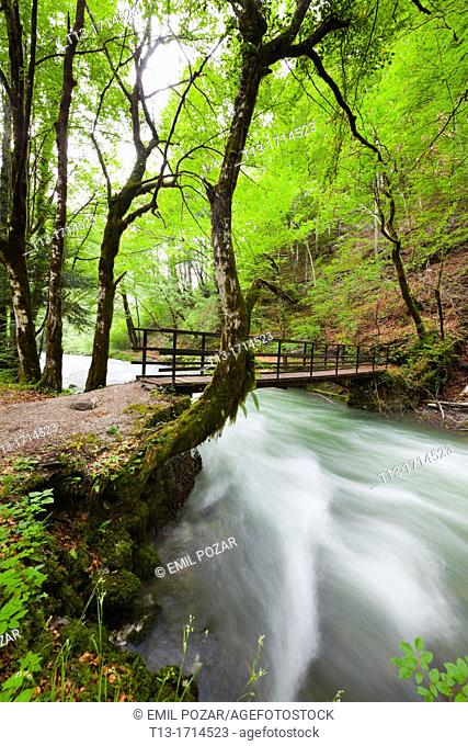 River Curak in Zeleni vir park near Skrad in Croatia, long exposure tripod shot
