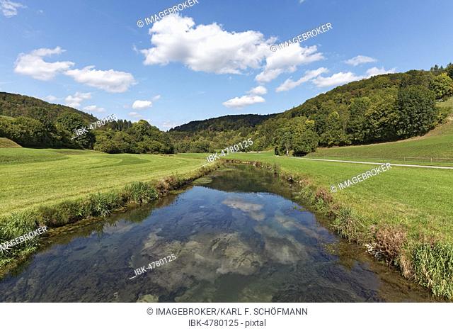Summer landscape with meadows and streams, Valley of the Zwiefalter Aach, Zwiefalten, Upper Swabia, Baden-Württemberg, Germany, Europe