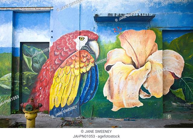 Panama, Panama City, Casco Viejo San Felipe, Colourful murial painted on building