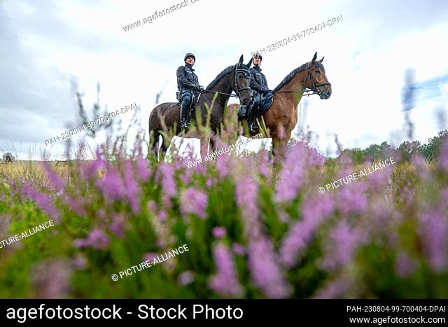 04 August 2023, Lower Saxony, Niederhaverbeck: The two police riders Bastian Ebhardt (l) and Simon Rölleke ride in the Lüneburg Heath Nature Reserve