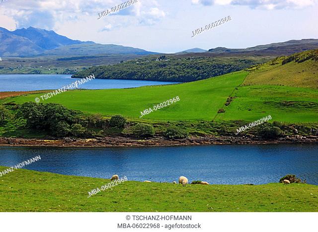 Scotland, the Inner Hebrides, Isle of Skye, Duirinish peninsula, landscape at Loch Harbort