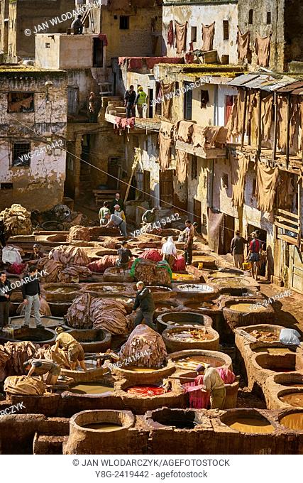 Traditional leather Chouwara Tannery, Fez, Morocco, Africa