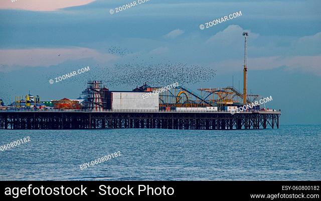 BRIGHTON, EAST SUSSEX/UK - JANUARY 26 : Starlings over the Pier in Brighton East Sussex on January 26, 2018