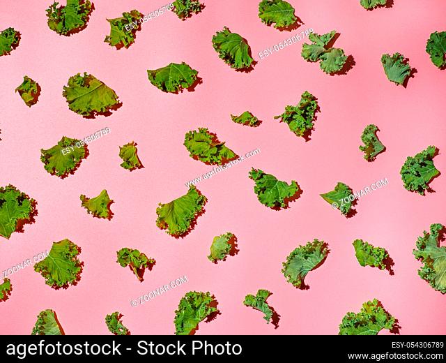 Fresh green kale leaves on pink background. Top view or flat lay. Creative layout with kale leaves. Copy space for text or design