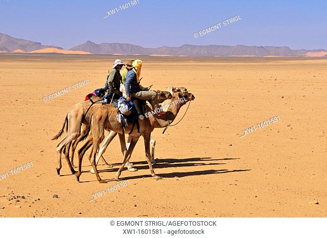 group of tourists riding on camels, Adrar Tekemberet, Immidir, Algeria, Sahara, North Africa