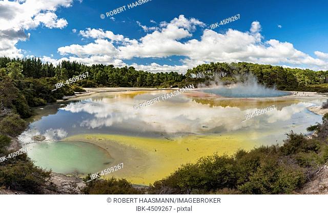 The Artist's Palette, hot springs with minerals, Waiotapu, Waiotapu, Rotorua, North Island, New Zealand