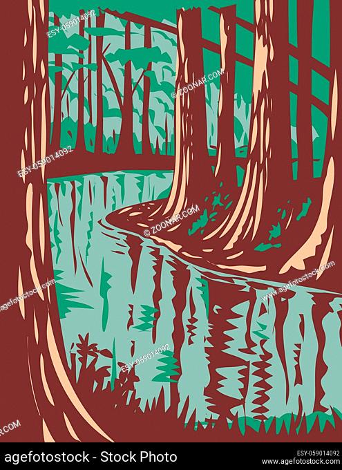 WPA poster art of Cedar Creek, a blackwater stream that runs through the Congaree National Park in central South Carolina