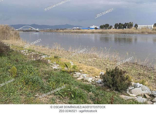 Llobregat River with industrial area in background and garbage in the foreground. Natural Areas of the Llobregat Delta. Barcelona province. Catalonia