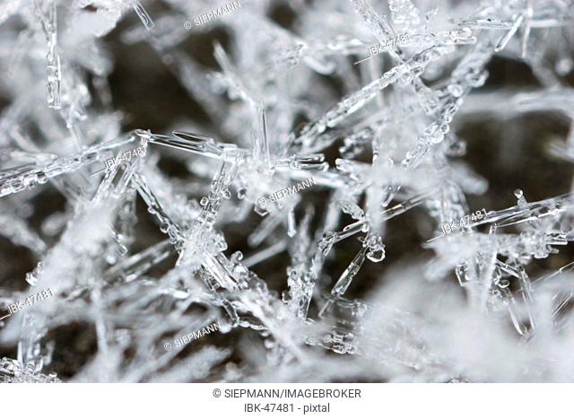 Snow ice crystals