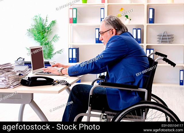 Aged employee in wheelchair working in the office