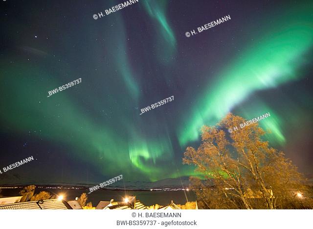 aurora with Orion and Jupiter, Norway, Troms, Tromsoe