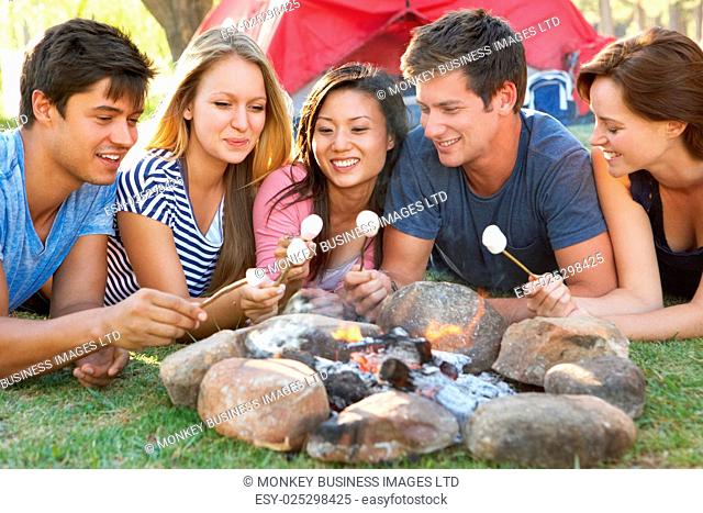 Group Of Friends Toasting Marshmallows Over Fire Camping Holiday