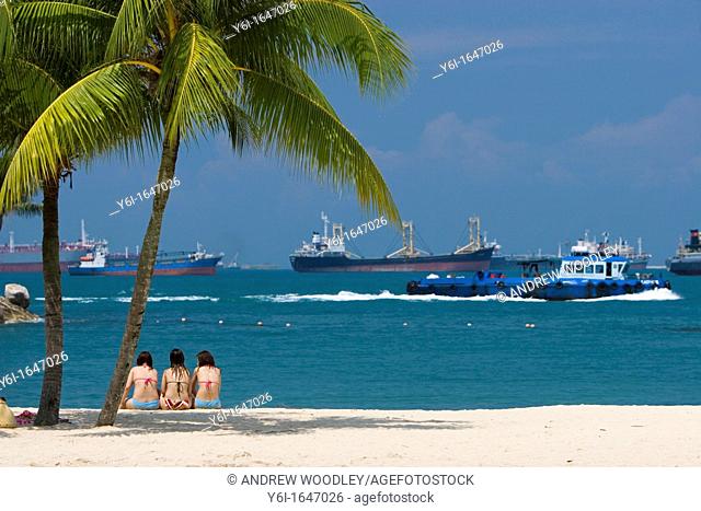 Three young bikini women sit beside palm tree Siloso Beach Sentosa Island Singapore