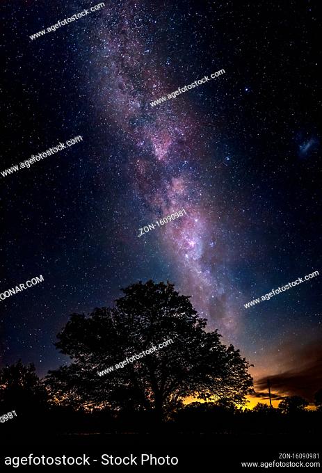 Amazing night scene of the milky way falling towards the silhouette of a leafy tree showing millions of shiny stars like sand in the sky