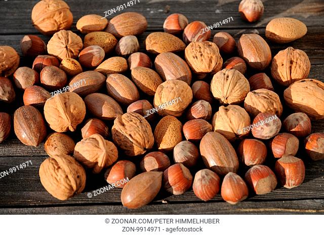 Carya illinoinensis, Corylus avellana, Juglans regia, Prunus dulcis, Pekan, Hasel, Walnuss, Mandel, Pecan, Hazel, Walnut, Almond, Nüsse, Nuts