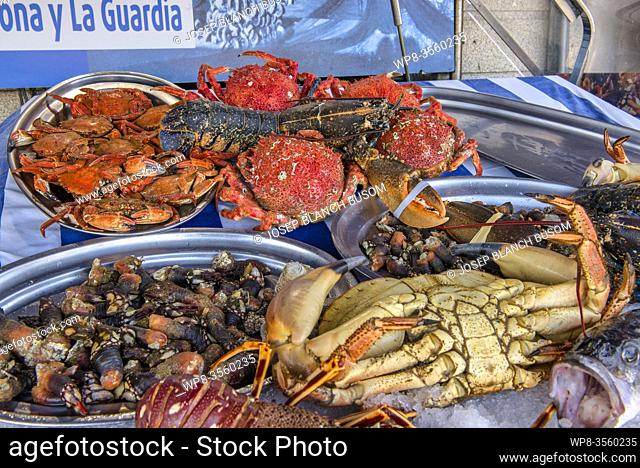 Mariscada (seafood meal). Galicia, Spain