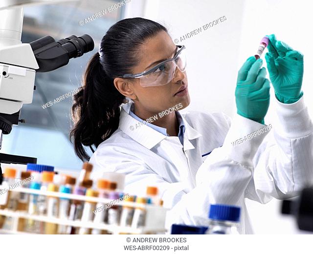 Feamle scientist preparing a blood sample for clinical testing in the laboratory