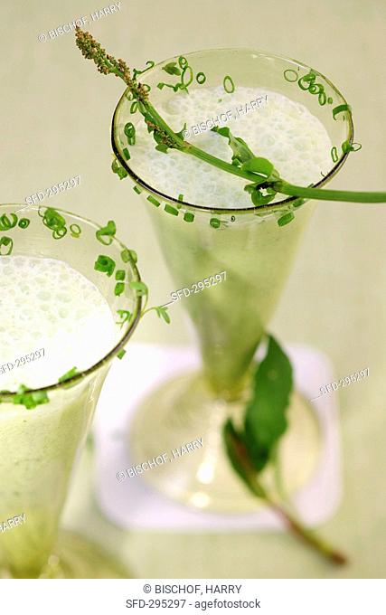 Lassi yogurt drink from India with herbs