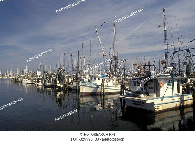 shrimp boat, Mississippi, MS, Christian, Shrimp boats docked in the harbor of the Gulf of Mexico in Christian