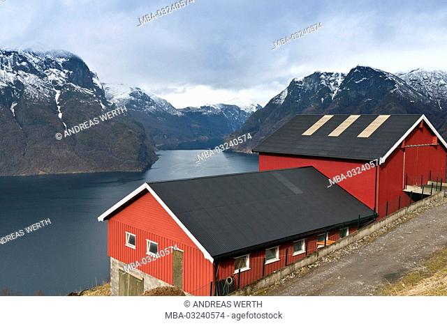 Farm in the Aurlandsfjord, a branch of the Sognefjords, place Aurland, late winter, Sogn of Fjordane, Norway