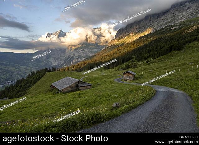 Evening mood, path leads to mountain huts, alpine pasture, Pfingstegg, behind the summit of the Wetterhorn, Jungfrau region, Grindelwald, Bern, Switzerland