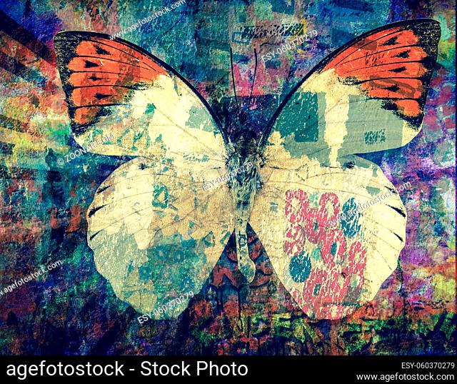 grunge Butterfly background texture image
