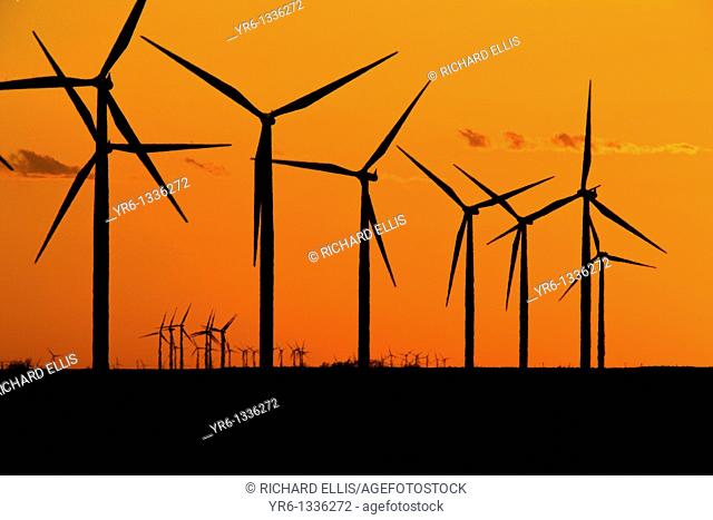 Wind turbines generating electrical power at Horse Hollow Wind Farm, Nolan county, Texas the world's largest wind power project during sunset