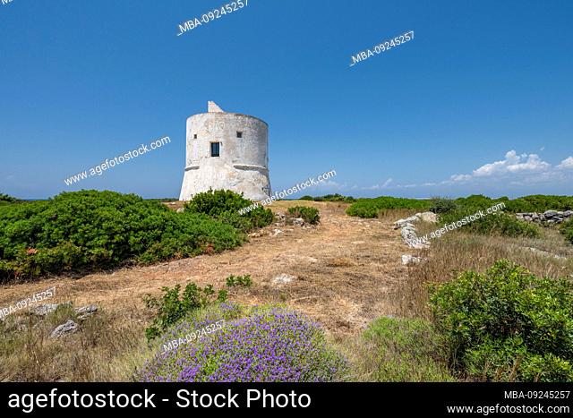 Punta Pizzo, Gallipoli, Salento, Puglia, Italy, Europe. The tower of Punta Pizzo