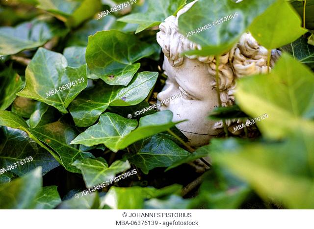 Europe, Italy, Latium, Rome, Vatican, head of an angel between ivy on a tomb on the Campo Santo Teutonico
