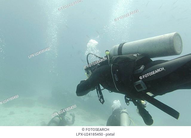 Three people scuba diving underwater, Santa Cruz Island, Galapagos Islands, Ecuador